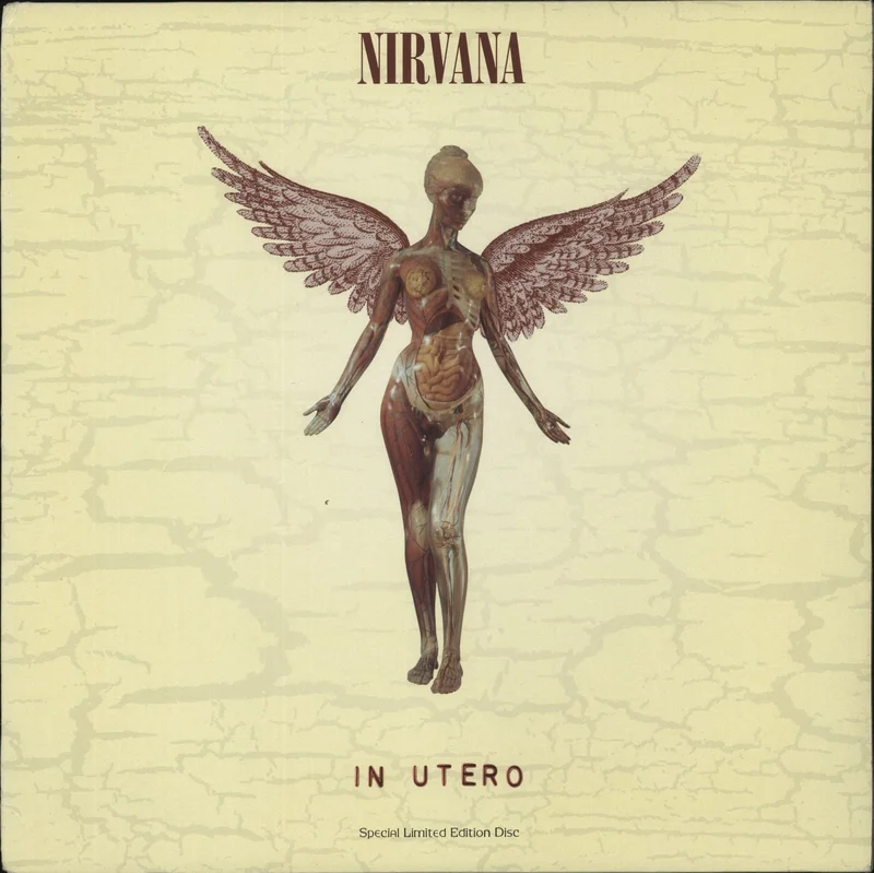 Nirvana (US) In Utero - Clear - EX US Vinyl LP