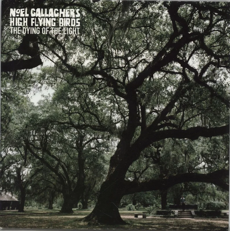 Noel Gallagher The Dying Of The Light UK 7" vinyl