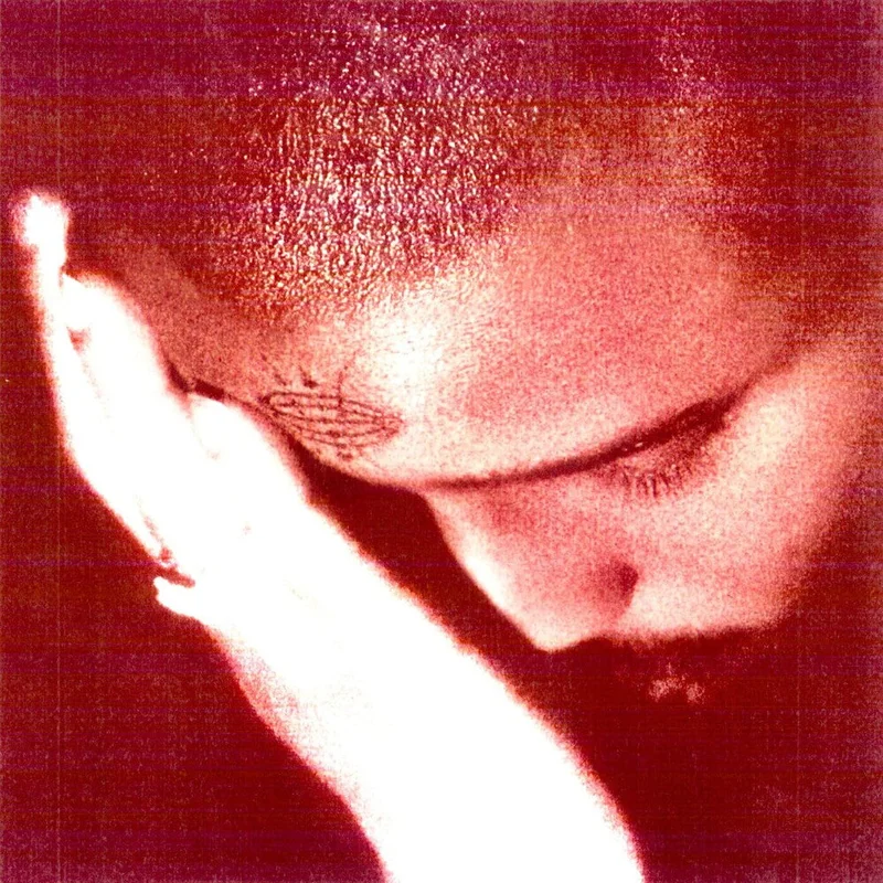 Nourished by Time - The Passionate Ones [LP]
