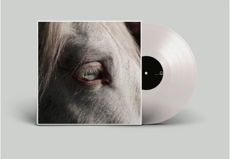 OK WAIT  Signal [LP]