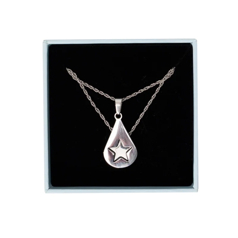 Olivia Rodrigo x Conan Gray Friendship Necklace Set