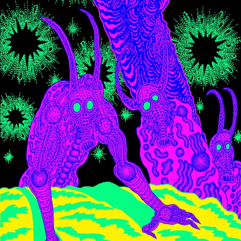 Osees - Abomination Revealed At Last [LP]