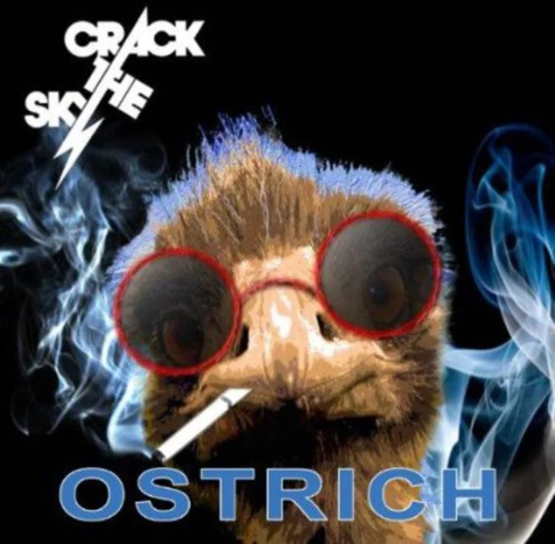 OSTRICH - CD
