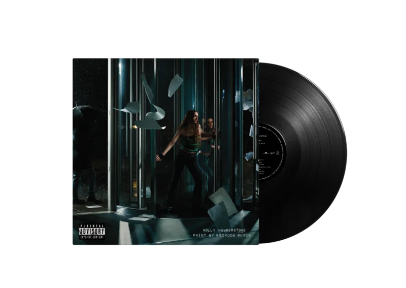 Paint My Bedroom Black Vinyl
