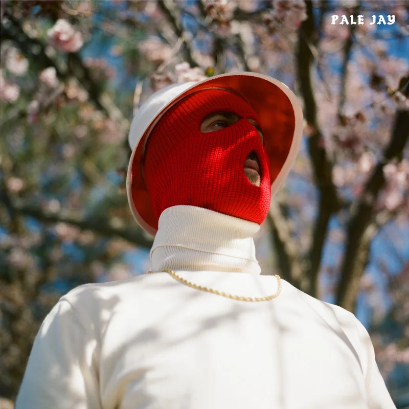 Pale Jay - The Celestial Suite