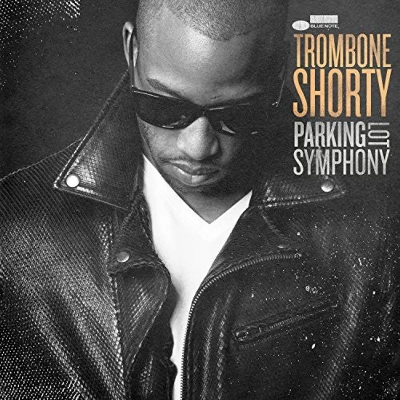 PARKING LOT SYMPHONY (2017: ALBUM) - VINYL