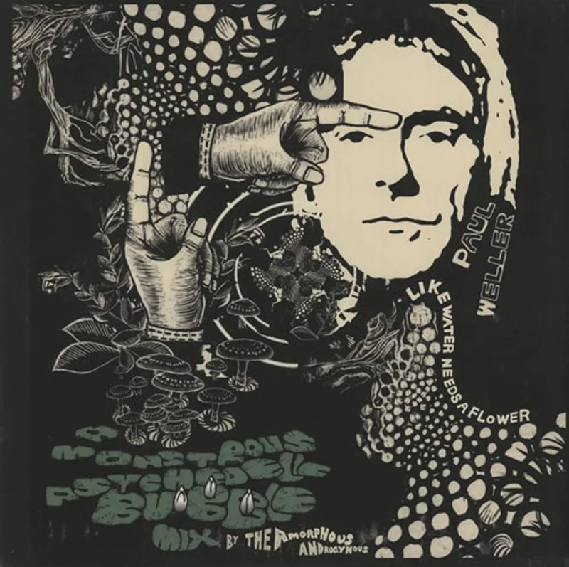 Paul Weller Like Water Needs A Flower EP - RSD UK 12" vinyl