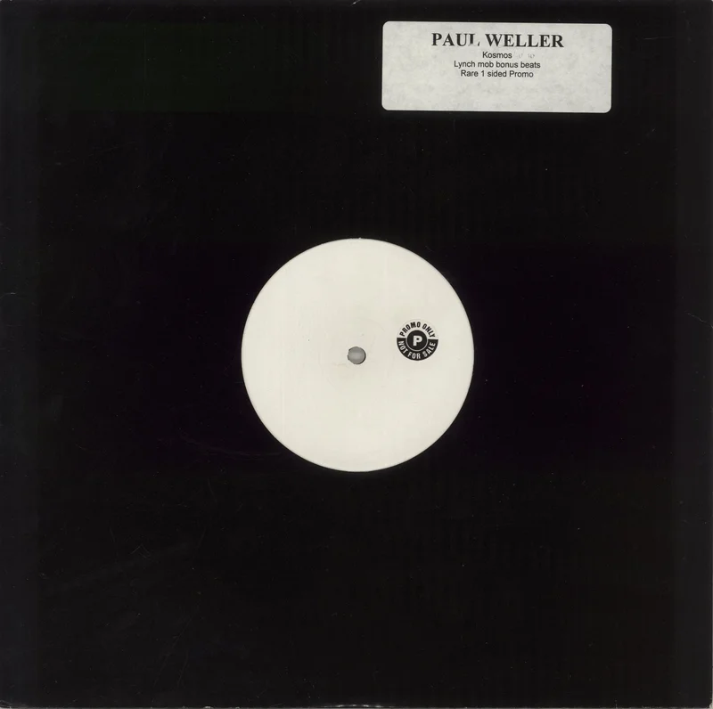 Paul Weller Whirlpool's End - 1 Sided UK Promo 12" vinyl