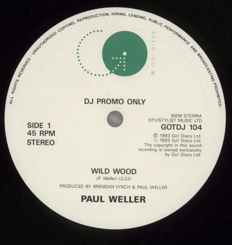 Paul Weller Wild Wood UK Promo 10" vinyl