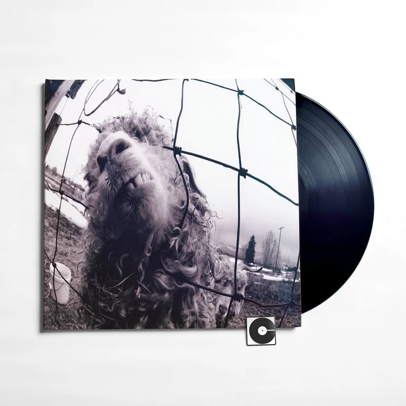Pearl Jam - "VS."