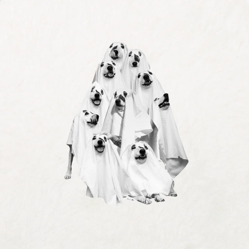 Perro Fantasma