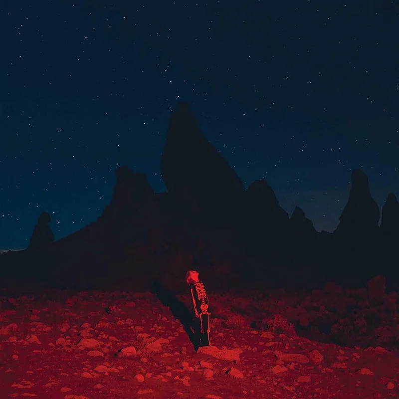 Phoebe Bridgers - Punisher [LP]
