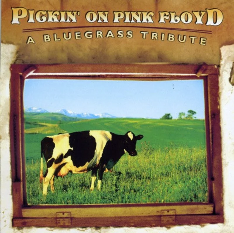 PICKIN' ON PINK FLOYD: A BLUEGRASS TRIBU - CD