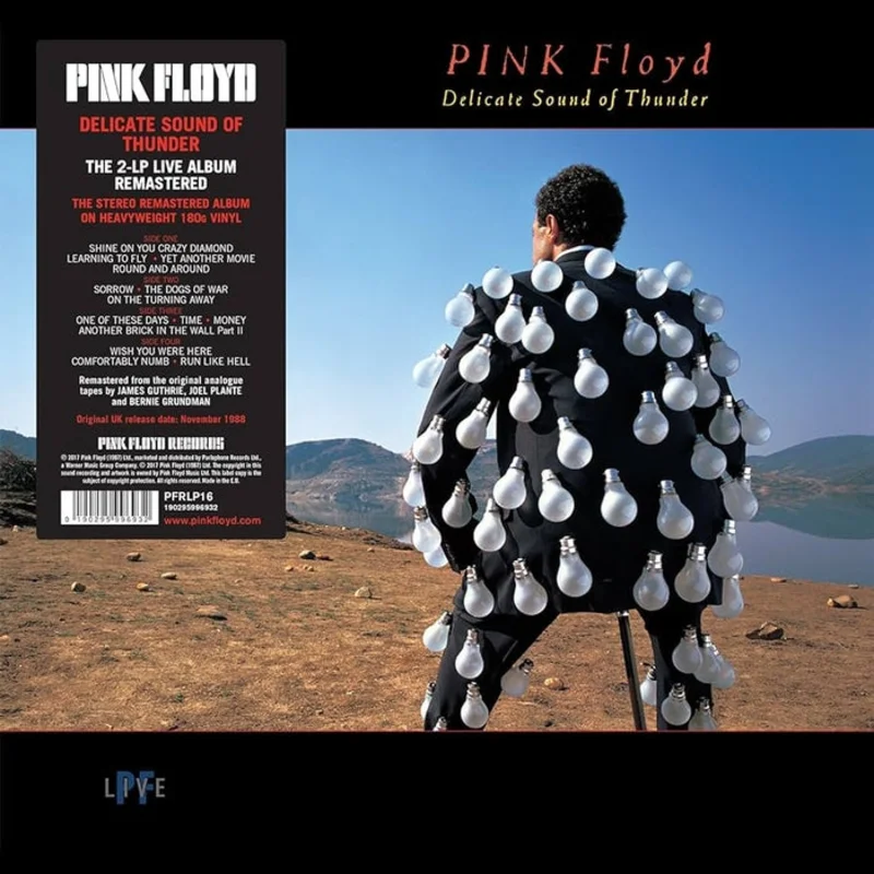 Pink Floyd  Delicate Sound Of Thunder (2xLP)
