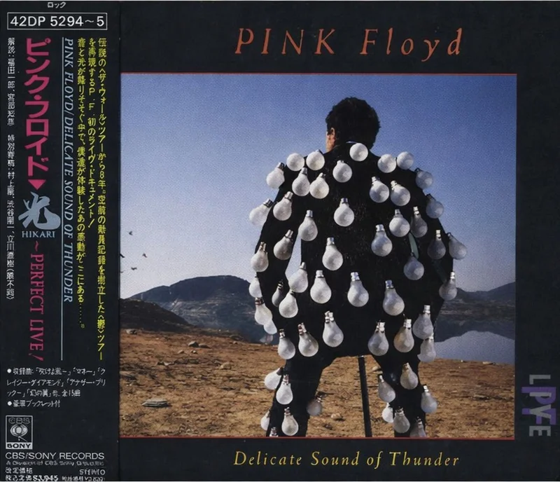 Pink Floyd Delicate Sound Of Thunder Japanese 2-CD album set