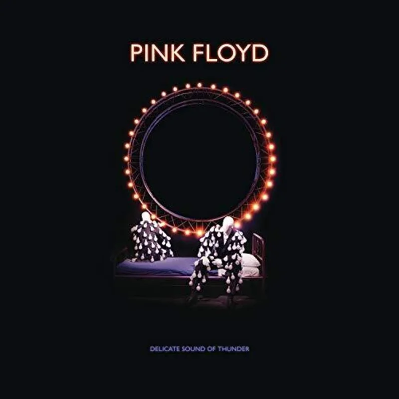Pink Floyd - Delicate Sound Of Thunder: Remastered [Deluxe 2CD/DVD/Blu-ray Box Set]
