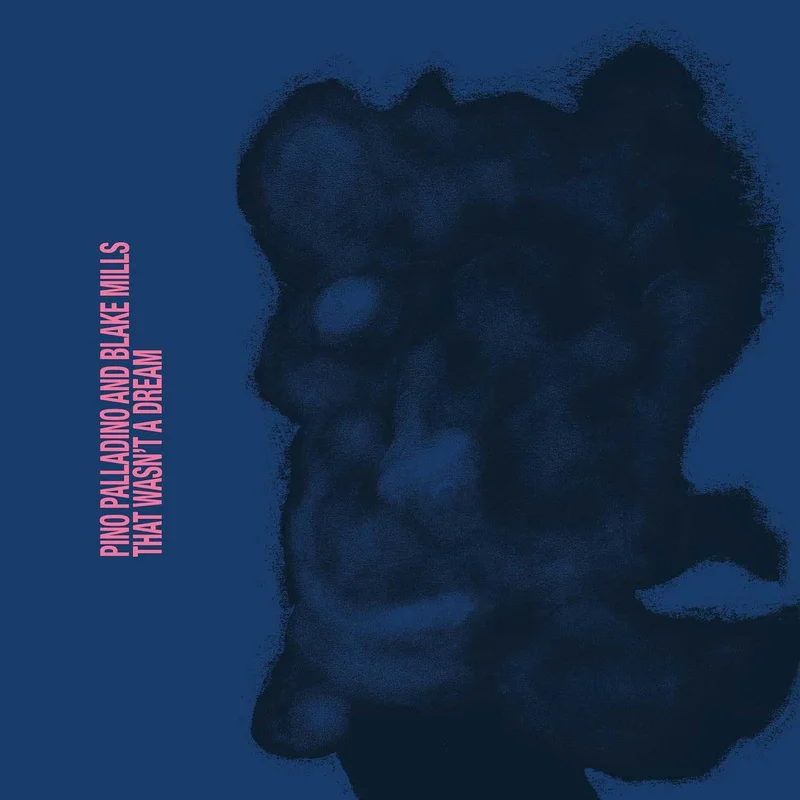 Pino Palladino & Blake Mills - That Wasn't a Dream - LP