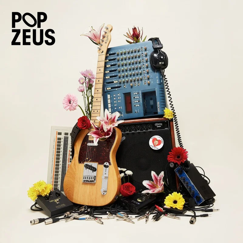 Pop Zeus - This Doesn't Feel Like Home (Unreleased Demos 2011-2014) [LP]