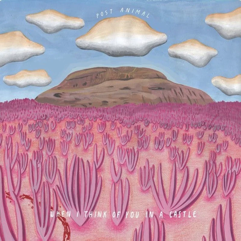 Post Animal - When I Think Of You In A Castle [CD]