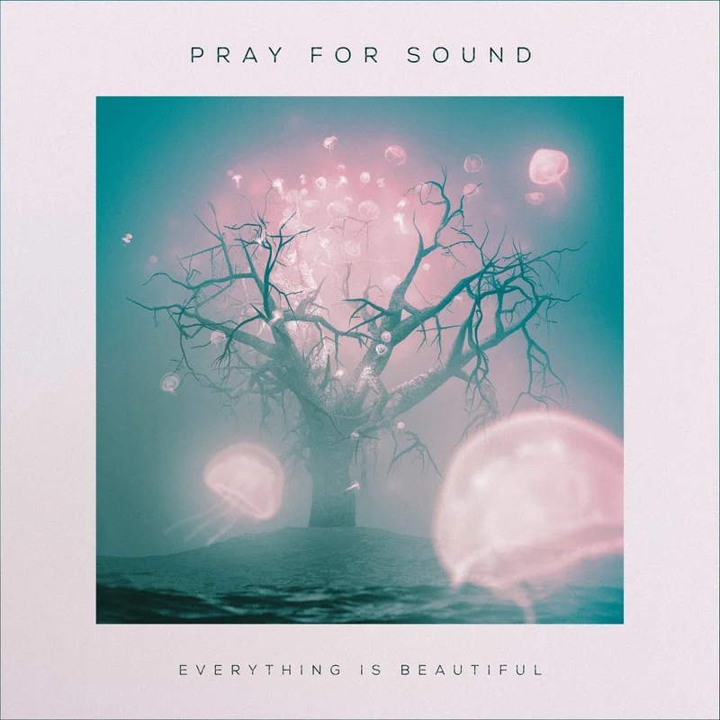 Pray For Sound  Everything Is Beautiful [CD]