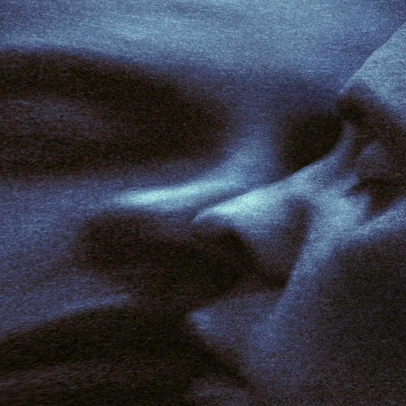 Puma Blue - Croak Dream [CD]