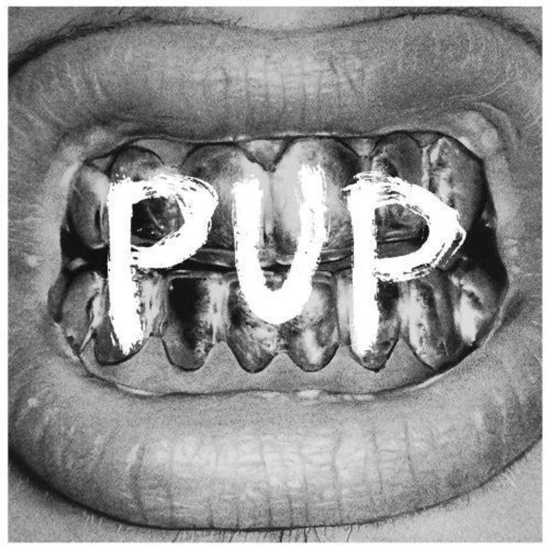 Pup - Pup [CD]