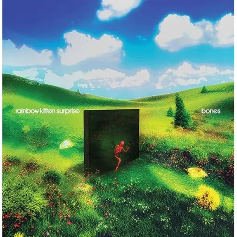 Rainbow Kitten Surprise - bones - LP