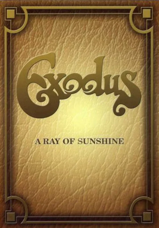 RAY OF SUNSHINE - DVD