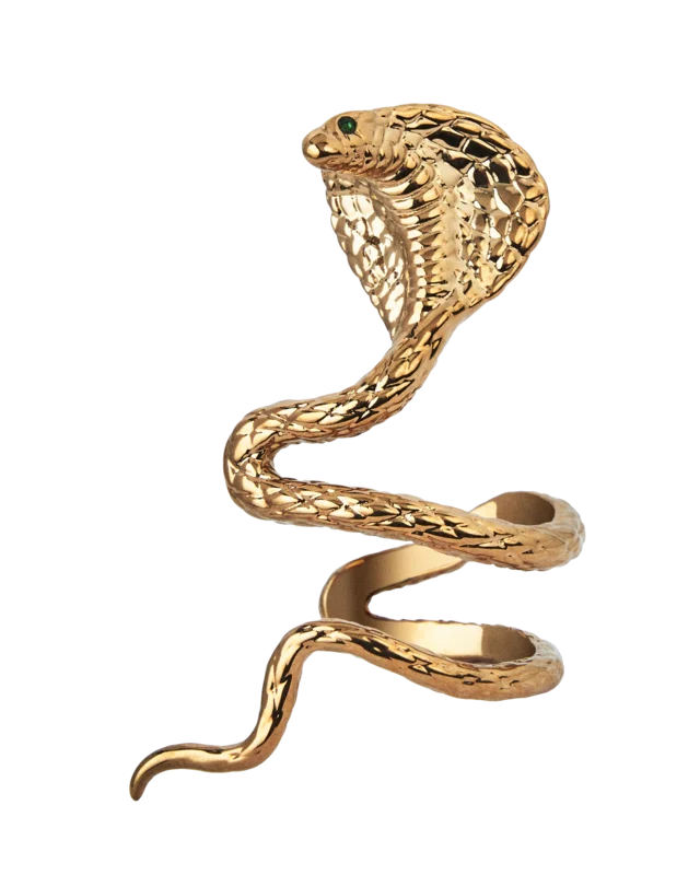 Reputation Album Snake Ear Cuff