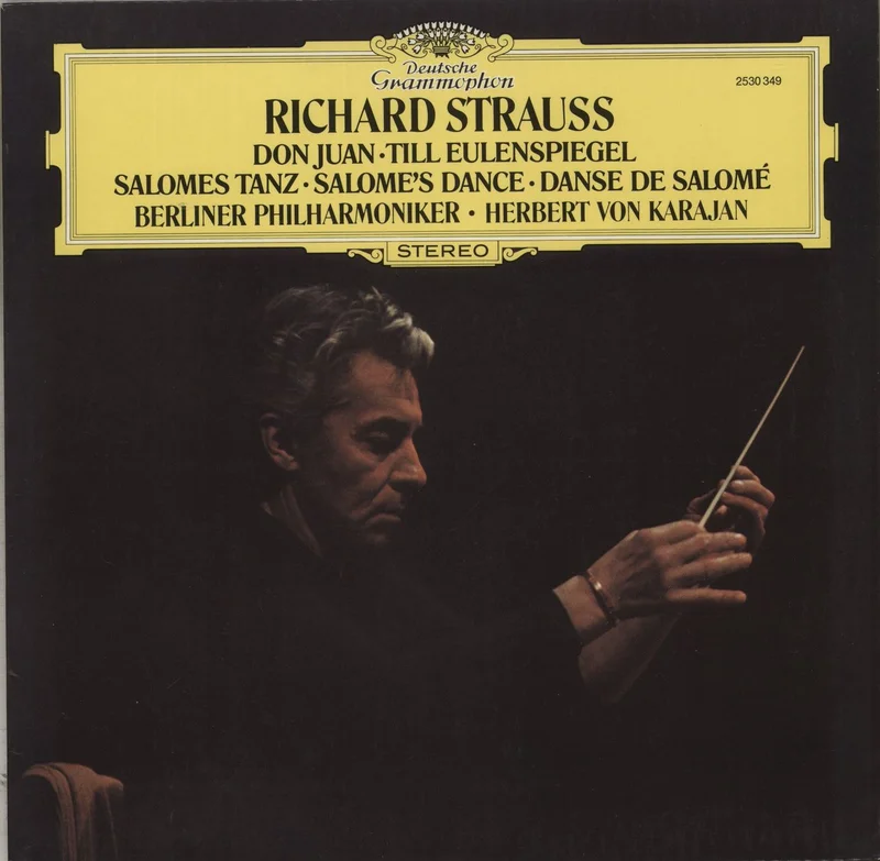 Richard Strauss Strauss: Don Juan Till Eulenspiegel Salomes Tanz German Vinyl LP