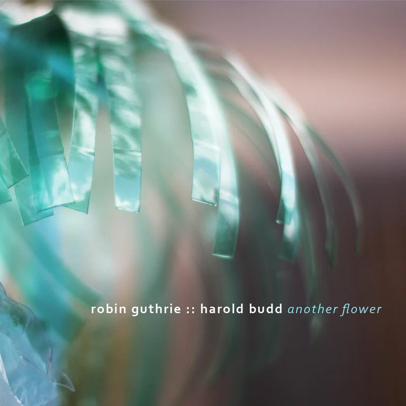 Robin Guthrie / Budd,Harold - Another Flower [Digipak]