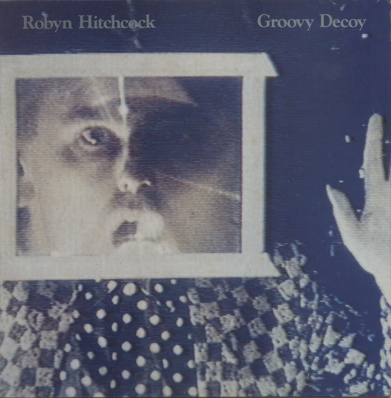 Robyn Hitchcock Groovy Decoy - VG UK Vinyl LP