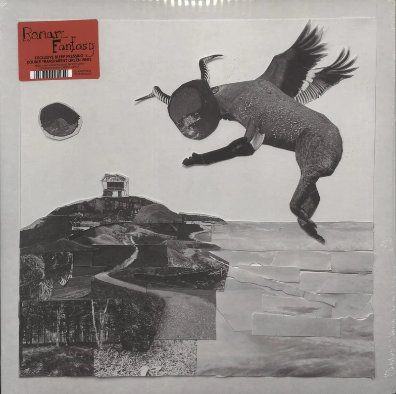 Romare Fantasy - Green Vinyl - Sealed UK 2-LP vinyl set