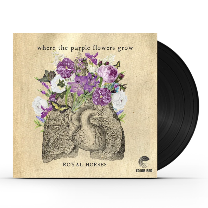 Royal Horses - Where The Purple Flowers Grow (LP)