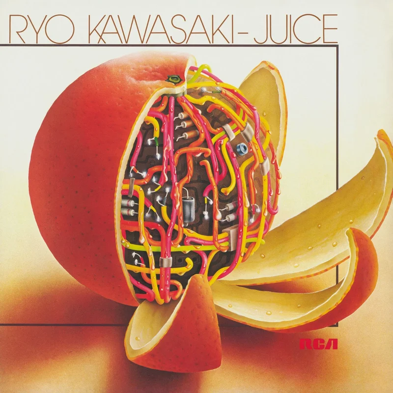 Ryo Kawasaki  Juice