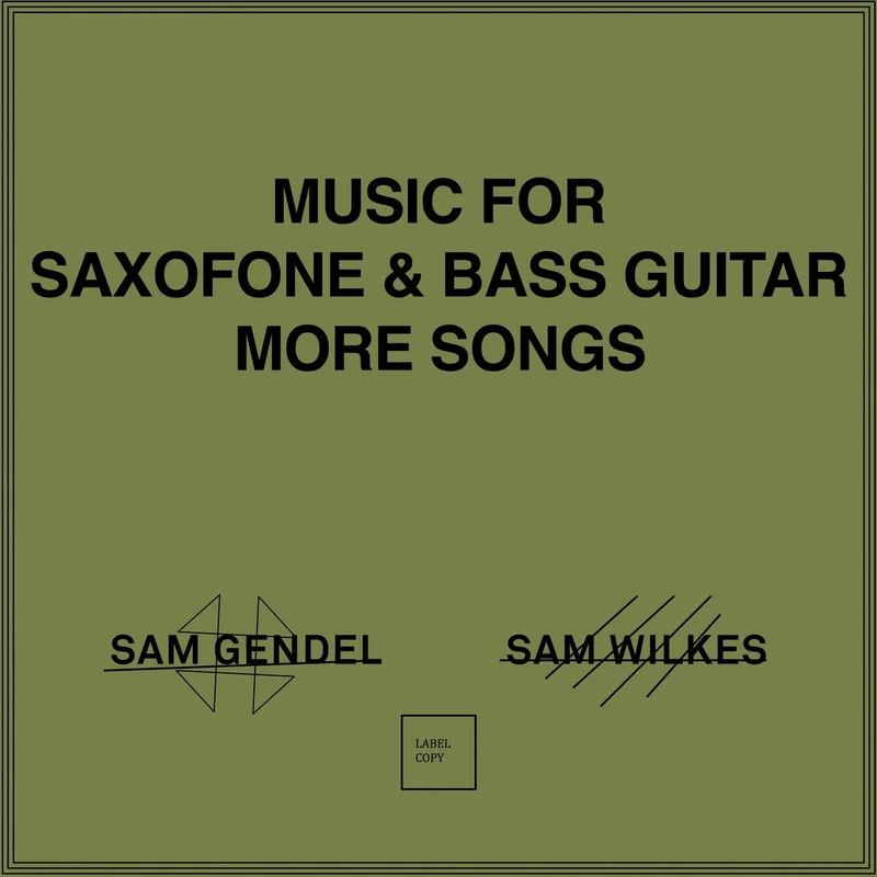 Sam Gendel & Sam Wilkes  Music For Saxofone & Bass Guitar More Songs