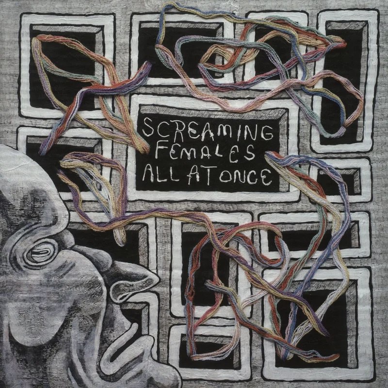 Screaming Females All At Once US 2-LP vinyl set