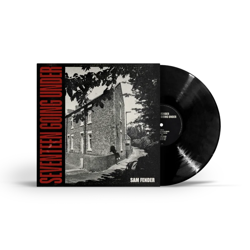 Seventeen Going Under Standard Vinyl