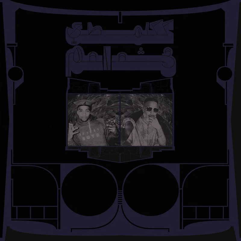 Shabazz Palaces - Exotic Birds Of Prey [Translucent White LP]