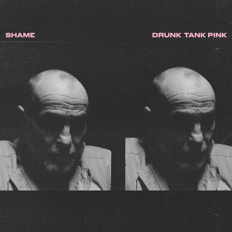 Shame - Drunk Tank Pink [LP]