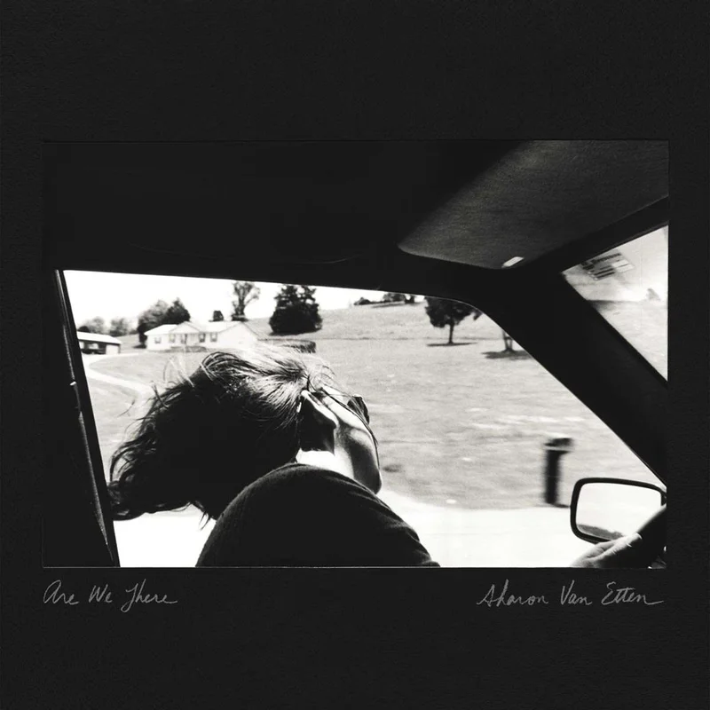 Sharon Van Etten Are We There (Black & Grey vinyl)