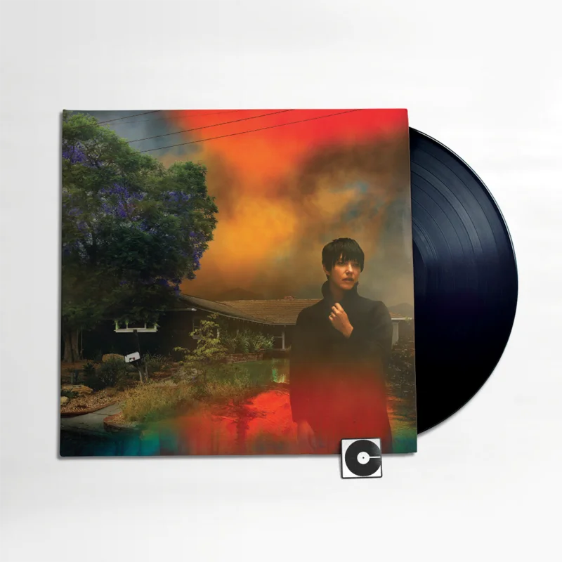 Sharon Van Etten - "We've Been Going About This All Wrong" Black Vinyl LP