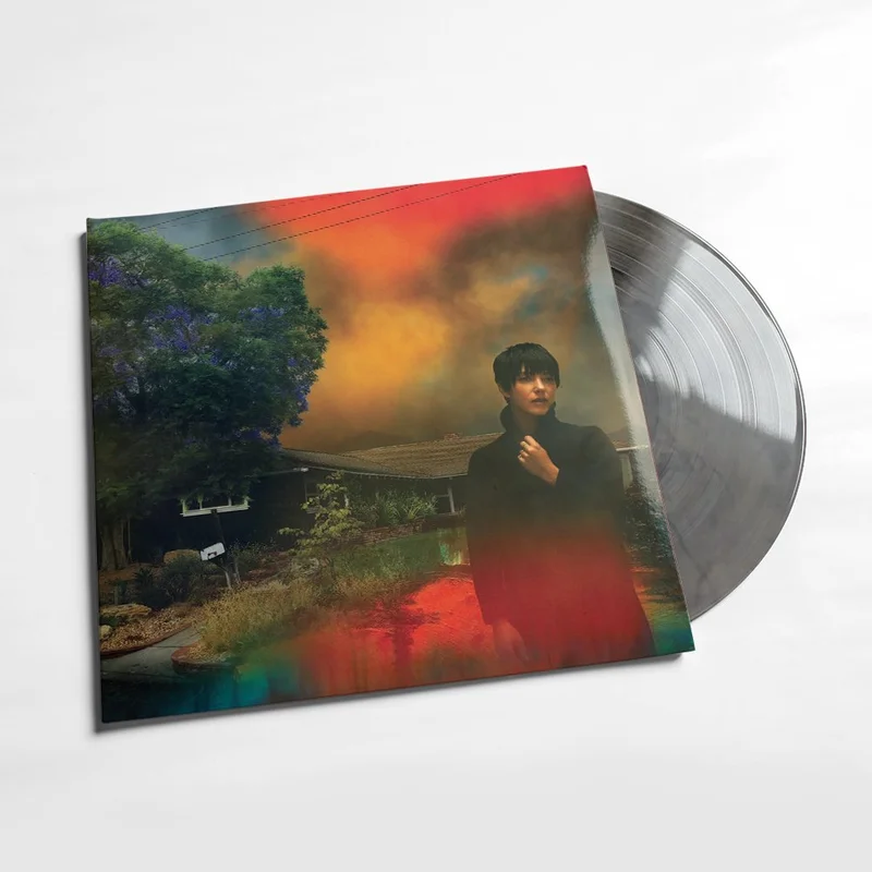 Sharon Van Etten - "We've Been Going About This All Wrong" Indie Exclusive Marbled Smoke Color Vinyl LP