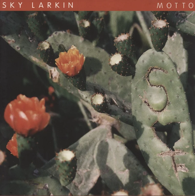 Sky Larkin Motto UK Vinyl LP