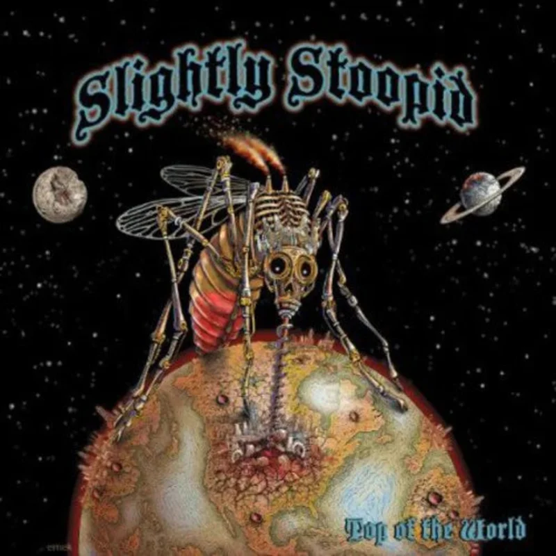 Slightly Stoopid Top Of The World (2-LP)