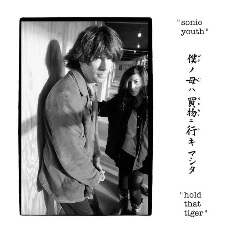 Sonic Youth Hold That Tiger (2xLP)