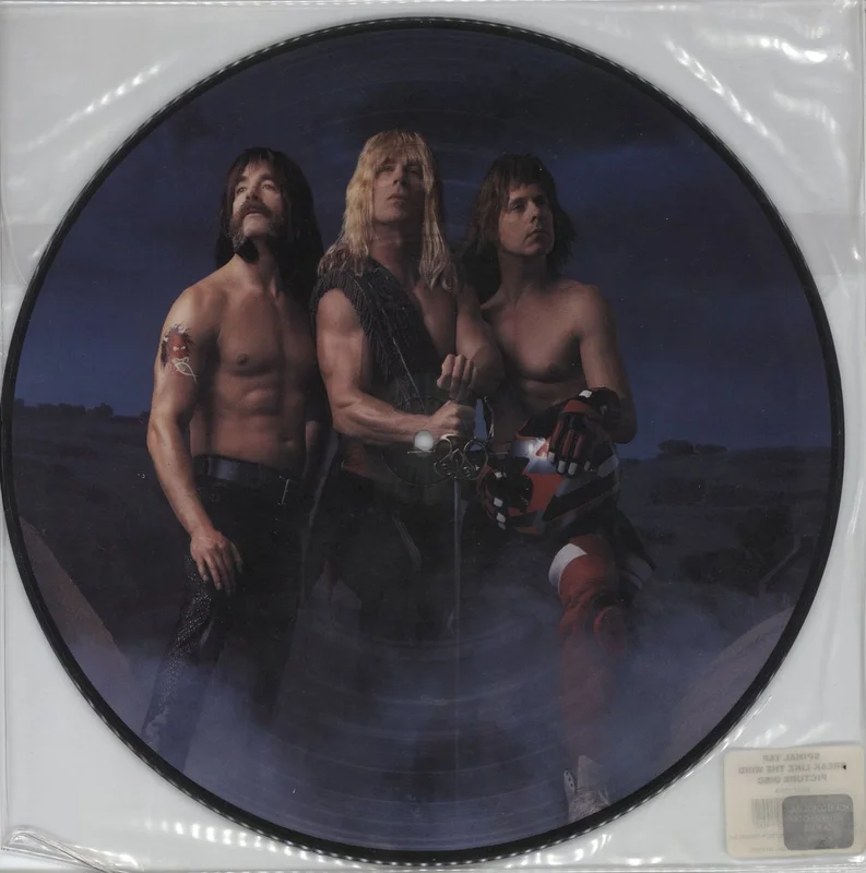Spinal Tap Break Like The Wind - EX US Picture disc LP