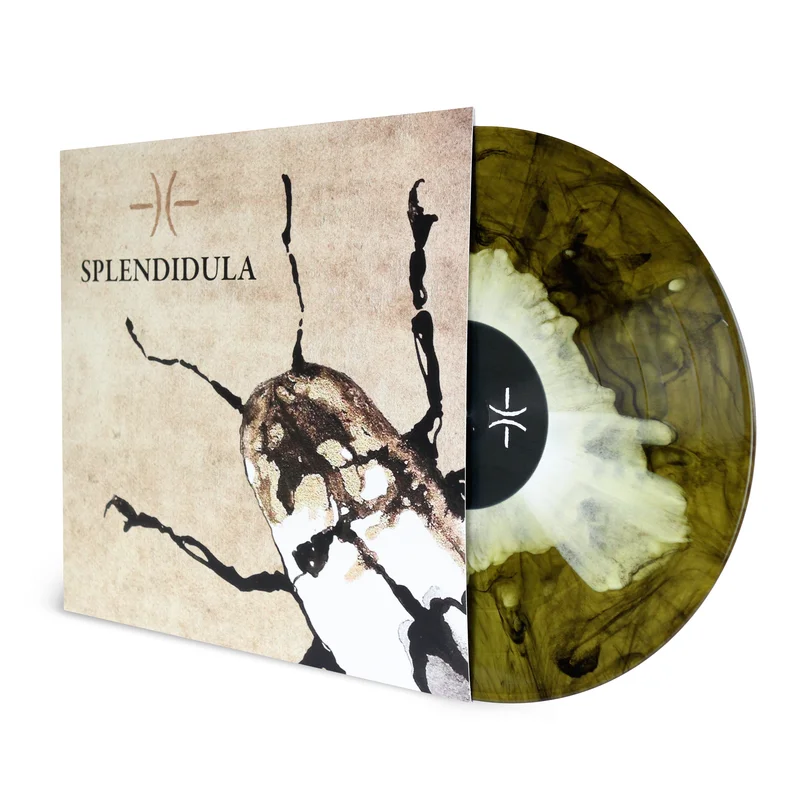 Splendidula  S/T [LP]