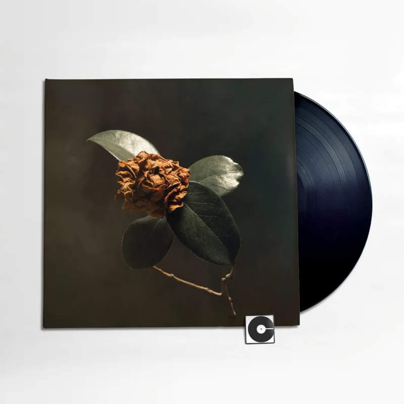 St Paul & The Broken Bones - "Young Sick Camellia"