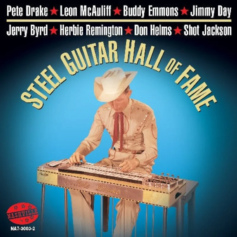 Steel Guitar Hall Of Fame - Steel Guitar Hall Of Fame [CD]
